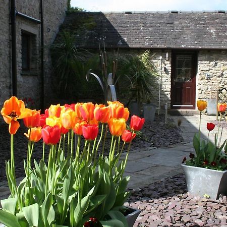 Birslack Grange Kendal Extérieur photo
